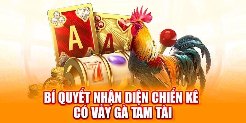Mẹo giúp thành viên chọn vảy gà quý
