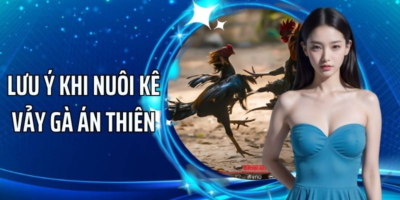 Chăm sóc loài có vảy gà Án Thiên như nào?