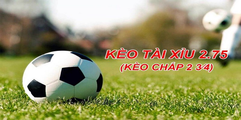 Tài Xỉu 2.75 Là Gì